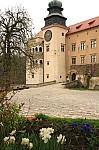 IMG_3863.jpg IMG_3863.jpg