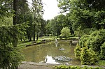 _MG_8908.jpg _MG_8908.jpg