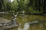 _MG_8910.jpg _MG_8910.jpg