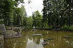 _MG_8911.jpg _MG_8911.jpg