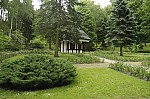 _MG_8913.jpg _MG_8913.jpg