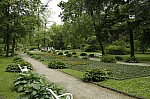 _MG_8915.jpg _MG_8915.jpg