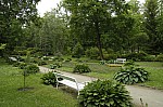 _MG_8920.jpg _MG_8920.jpg