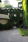 IMG_3061.jpg IMG_3061.jpg