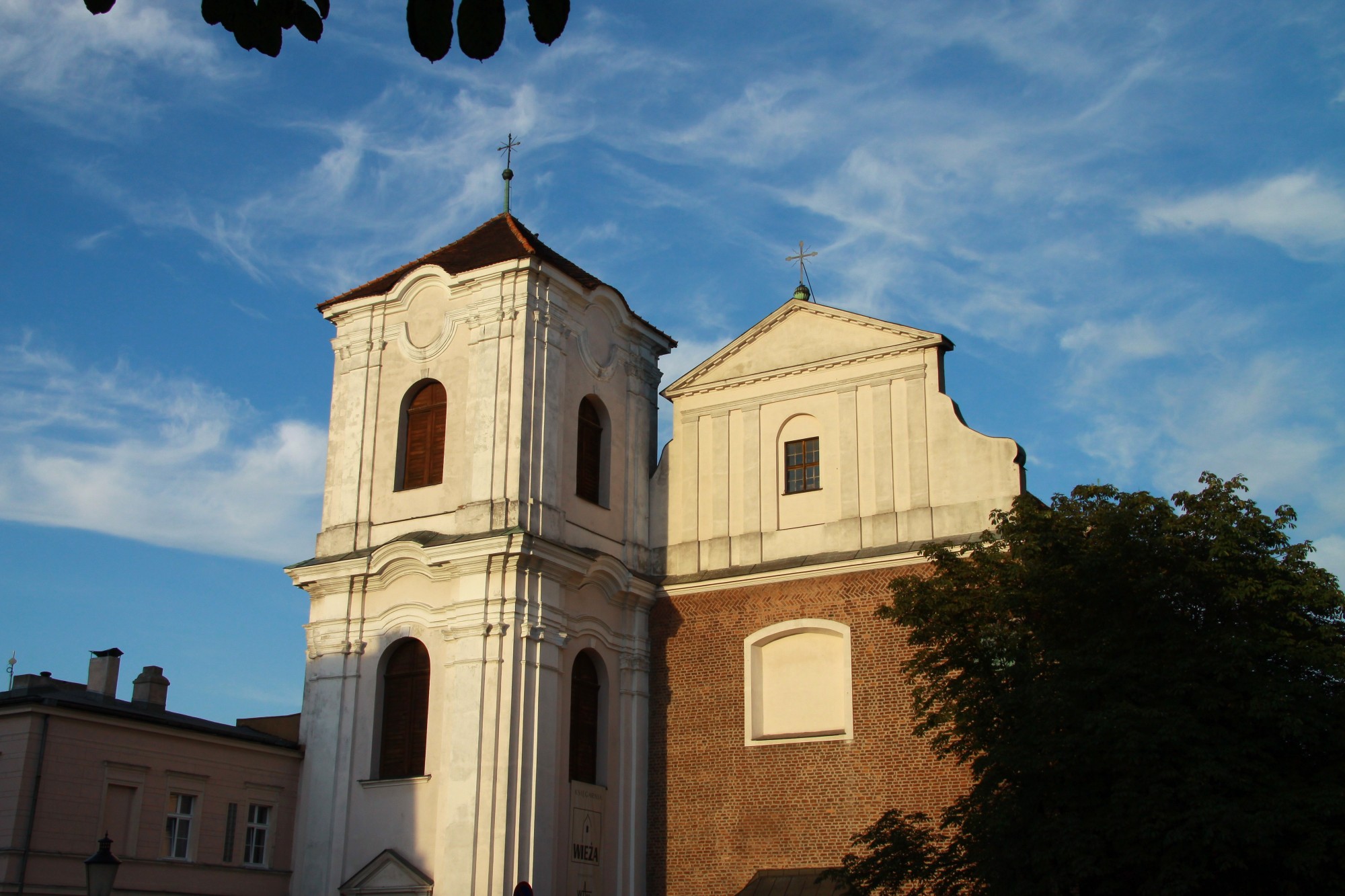 IMG_3151.jpg