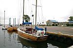IMG_4437.jpg IMG_4437.jpg
