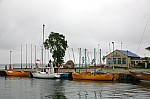IMG_4441.jpg IMG_4441.jpg