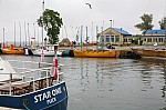 IMG_4469.jpg IMG_4469.jpg