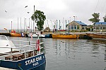 IMG_4473.jpg IMG_4473.jpg