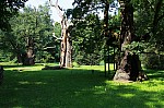 IMG_2862.jpg IMG_2862.jpg