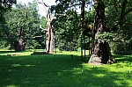 IMG_2863.jpg IMG_2863.jpg