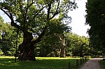 IMG_2874.jpg IMG_2874.jpg