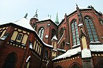 IMG_7669.jpg