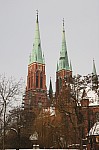 IMG_7672.jpg