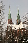 IMG_7675.jpg