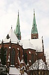 IMG_7734.jpg