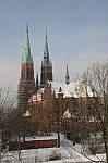 IMG_7753.jpg