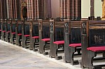 IMG_7782.jpg