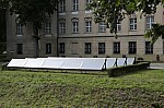 _MG_5223.jpg _MG_5223.jpg