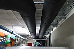 IMG_5437.jpg IMG_5437.jpg