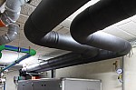 IMG_5450.jpg IMG_5450.jpg