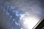 IMG_7883.jpg IMG_7883.jpg