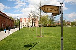 IMG_5113.jpg IMG_5113.jpg