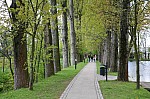 IMG_5168.jpg IMG_5168.jpg