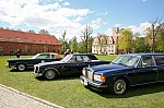 IMG_5239.jpg IMG_5239.jpg