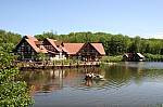 IMG_2626.jpg IMG_2626.jpg