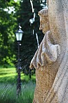 IMG_9345.jpg IMG_9345.jpg