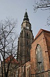 IMG_9544.jpg IMG_9544.jpg