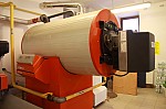 IMG_9003.jpg
