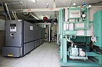 _MG_8544.jpg _MG_8544.jpg