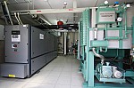 _MG_8578.jpg _MG_8578.jpg