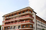 IMG_3255.jpg