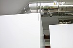 _MG_8405.jpg _MG_8405.jpg
