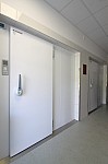IMG_3476 (2).jpg IMG_3476 (2).jpg