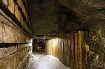 IMG_3305.jpg IMG_3305.jpg