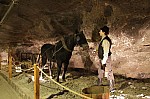 IMG_3313.jpg IMG_3313.jpg