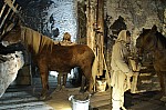 IMG_3314.jpg IMG_3314.jpg