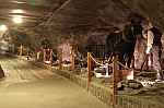 IMG_3321.jpg IMG_3321.jpg