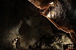 IMG_3381.jpg IMG_3381.jpg