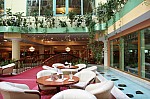 IMG_6398.jpg IMG_6398.jpg