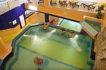 IMG_6424.jpg IMG_6424.jpg