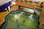 IMG_6425.jpg IMG_6425.jpg