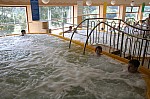 IMG_6428.jpg IMG_6428.jpg