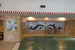 IMG_6435.jpg IMG_6435.jpg