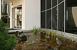 IMG_1517.jpg IMG_1517.jpg