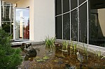 IMG_1518.jpg IMG_1518.jpg
